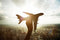 Important Things All Vape Users Need To Know When Travelling Abroad